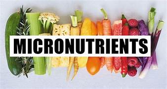 Essential Micronutrients Every Indian Woman Needs For Optimal Health