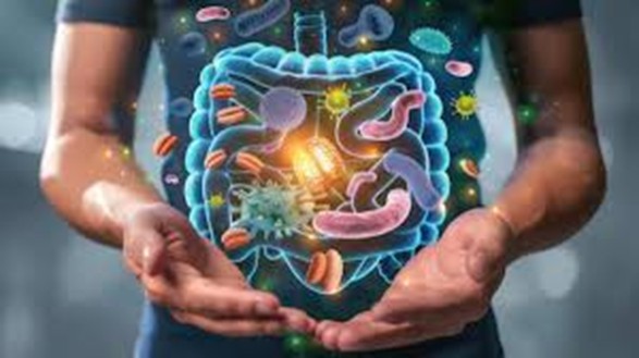 Gut Health And Nutrition: The Key To A Strong Immune System In 2025